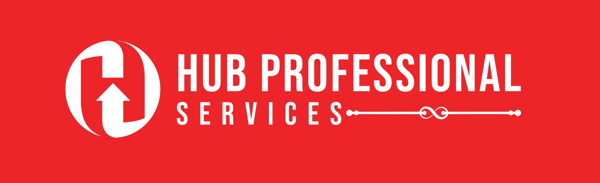 Hub Professional Services